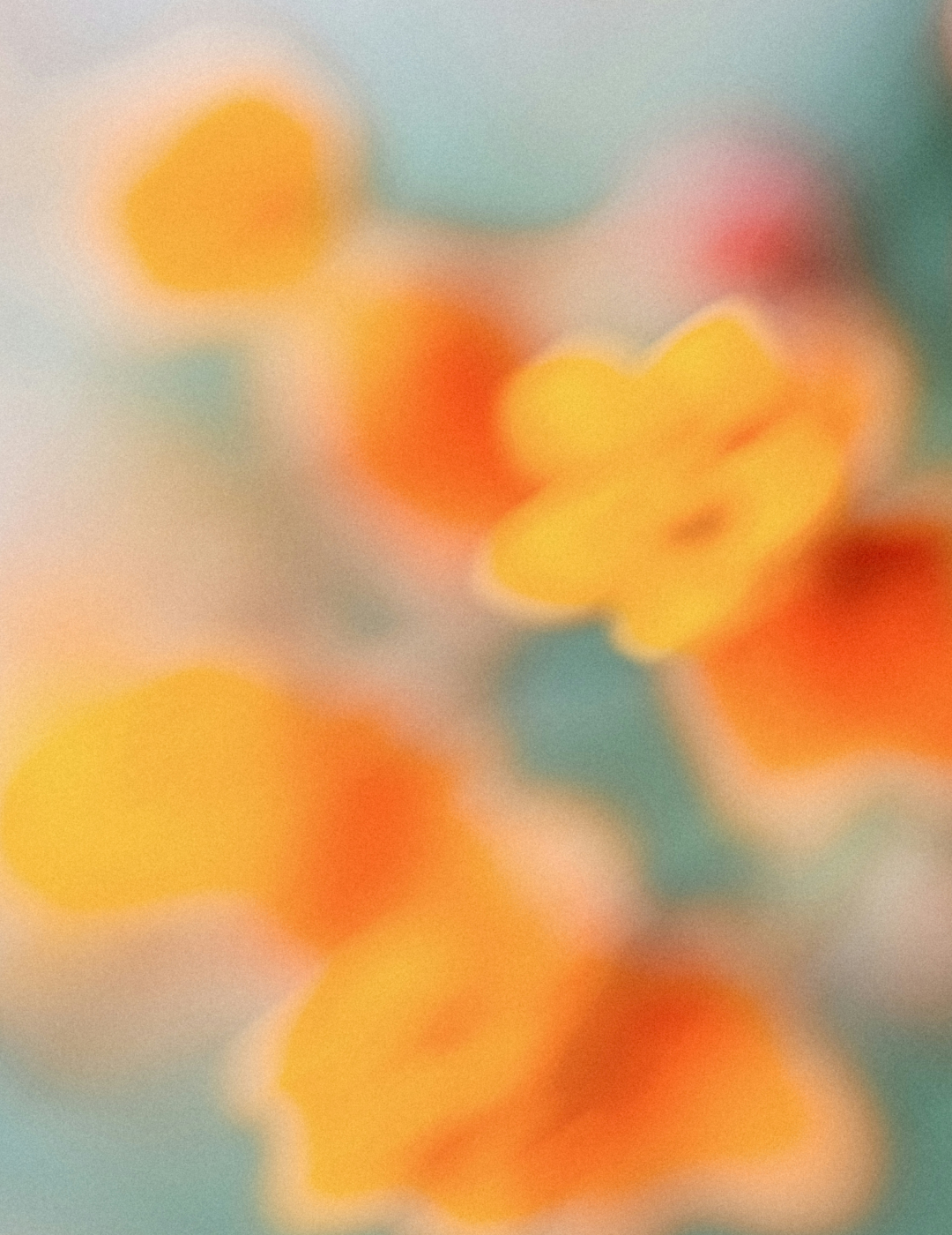 Flores de Bach preview